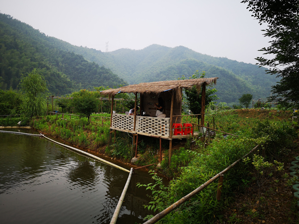 公司團(tuán)建活動(dòng)剪影